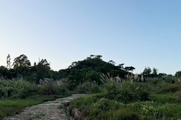 罗纳风水点出的螃蟹地